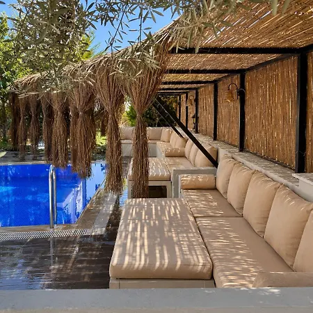 酒店 Cunda Garden Ayvalı